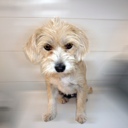 D 5e9d95f3 5828 4df1 a874 9ada3a3b9676