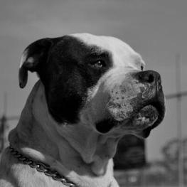 D 00874ea1 2afa 43b3 b3a0 65b2b23acbc6