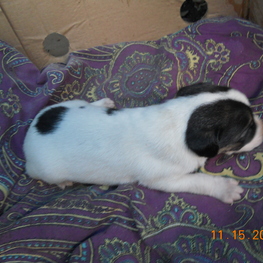 D f293b1d4 eb15 40cb a310 88550c7f5a54