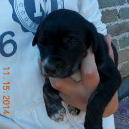 D 6d462f52 ebcb 4b50 b5e2 d3549fb190e5