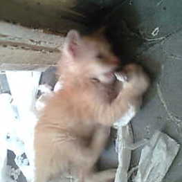 D ffba025e cc63 4751 98be 0428950b4581