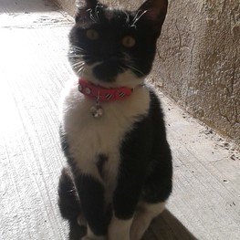 D b66345e1 8ec3 47f1 a20b 3bc8e32f185f