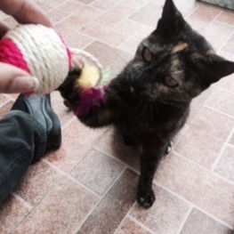 D de05f19e abd3 4572 b306 f9cf8b8d0e15