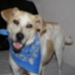 D 505b300f 2f77 41d6 8d18 b5a182013ee4