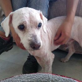 D 963a4e4e ce54 41df 94f8 1032e5ed61ff