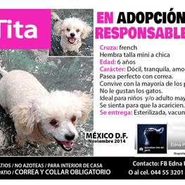 D 7cdcd02b 0cd5 4207 914a bf64f8825637