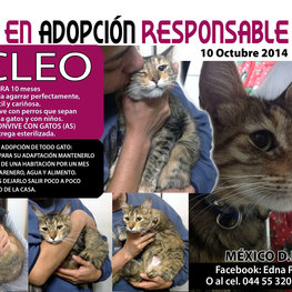 D aef02da5 0262 43f6 8c7f 05ed03d464fc