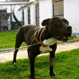 D cc103592 e167 4ffb 9813 fa07942bbd0f