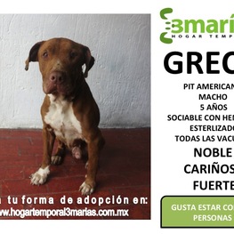 D 15d6961c 7d34 43fe 836c e8743880fb05