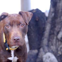 D f69128af 6b80 4047 a0be b437e006db93