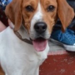 D 9d13880f 32ed 487a ae71 318c746970ea