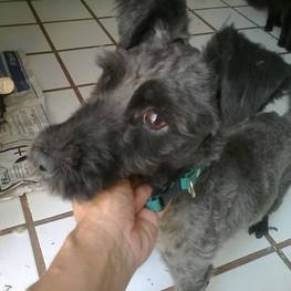 D ed490e8f 8d9e 42a8 bd5c 72413313564c