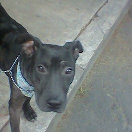 D ead4b9de 19ba 4b6a 902e cff5efb5a08b