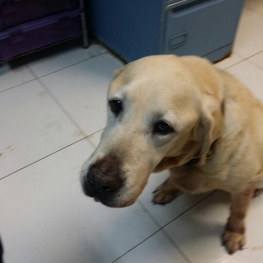 D 2d29d413 2e72 43d3 af97 791fd0d7ff11