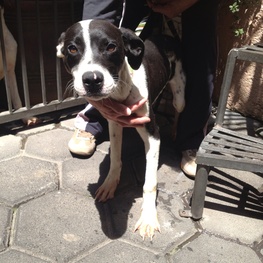 D 8952ee59 6966 4c25 88fb 0cebf16e4343