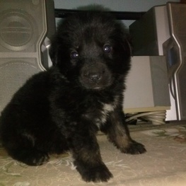 D 2f1a5b2d 9121 47d6 9441 dbb82b246470