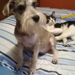 D b1d018e1 61d3 4a97 9bdd 0ee52038473b