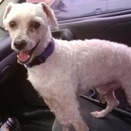 D dbc5e06f 73fe 431d bfd1 0ee90906537a