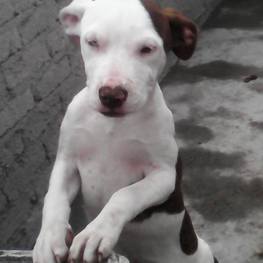 D f65f3a3f 7858 4f6f 9593 e1f25c89177d