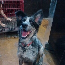 D c1a498f3 7524 4cc3 9048 e3bb05437ae5