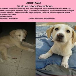 D 24caf40e b38c 4136 a4c1 5e406e930bb2