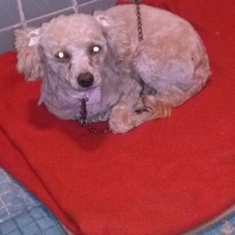 D ef661aab 0190 4498 92ef 58e4ec609a90