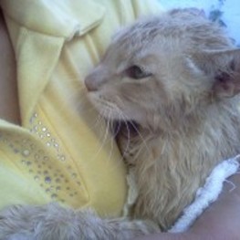 D f512057f a0c4 441f bc1c 9d365ece4660