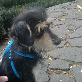 D 788b6e9e 623f 44e7 a301 bb174c726039