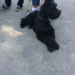 D cd3dc867 e9cd 4a0d 8e01 180b5d0c644c