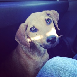 D 8571c5a0 9330 4020 8f3c fffd85b6387e