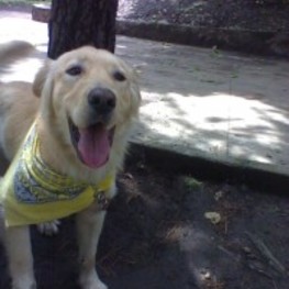 D 602cfa2c 23b4 43c3 8c1d e70b504bfff8