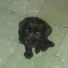 D 5cf17d97 0689 41d0 aa30 933a60765656