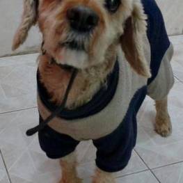 D 64e1ec80 2aed 4aae 92e1 5419935e0546