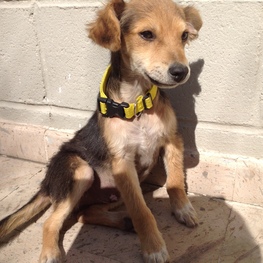 D 83001913 bf6d 44fb b3fb 4043c28a4acd