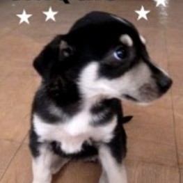 D 05acd0f4 0718 48e4 9c52 053860c329a5