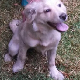 D 7ec0299c 176d 42bd bd3d b9d9fb681b93