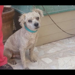 D 25f6cf4b eb95 4ea1 8c5a db6775254fd6