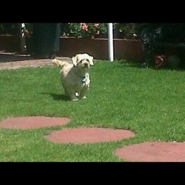 D 5167ff95 a0c9 4763 831f b717e877f546