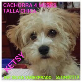 D 82cb0688 7812 4339 a5a0 801ec58fec5d