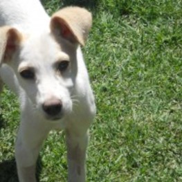 D ab74bfef ee9e 46af 80b9 d156768bf513