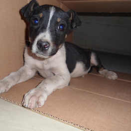 D a510d569 befc 47f4 a4fe 2448d4ccea29