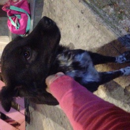 D 9b695f0d af49 4f5d 8d87 ae9c43597b8b