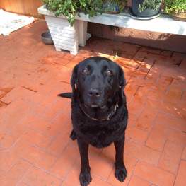 D 6ab55412 5b7b 439d b95b ea682369df5d