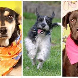 D b9c5ccf5 90e7 4f5d a0cb c32ad9f686f6