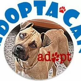 D effa7da3 8146 4b04 a30e 4c17ddac9103