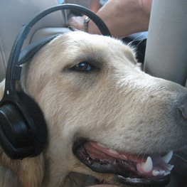 D e83d4568 08b8 413e 8325 3e634bd2a0f4