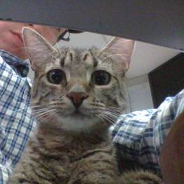 D c2572d6c d221 43fd a2b5 4dd2c62b1583