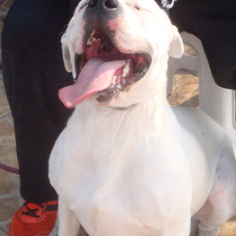 D 12cc6092 0610 42f1 919a 388263cf1a0f