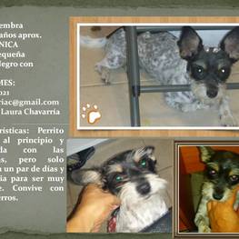 D c9501999 de8c 484d 9c41 1ac0eba423ee