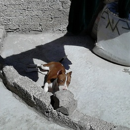 D d5abd33f bb15 4919 aeff aff0d2ab73cb